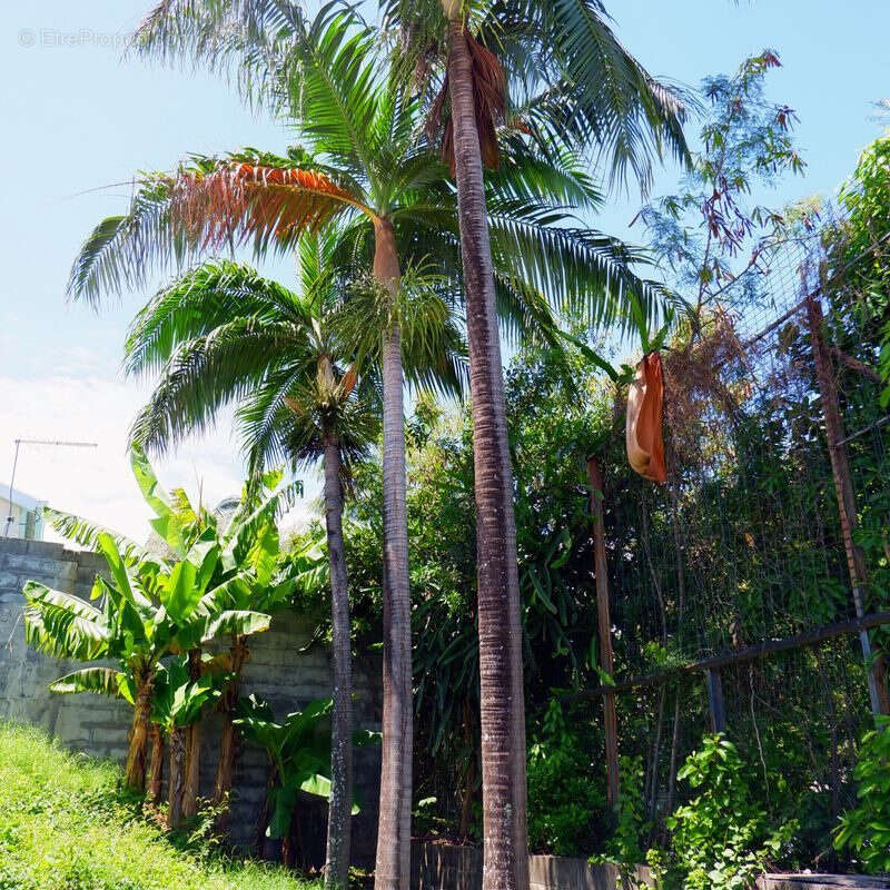 Maison à SAINTE-MARIE