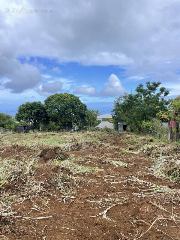 Terrain à SAINT-PAUL