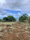 Terrain à SAINT-PAUL