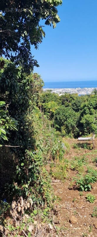 Terrain à LA POSSESSION