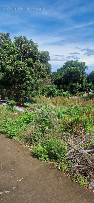 Terrain à LA POSSESSION