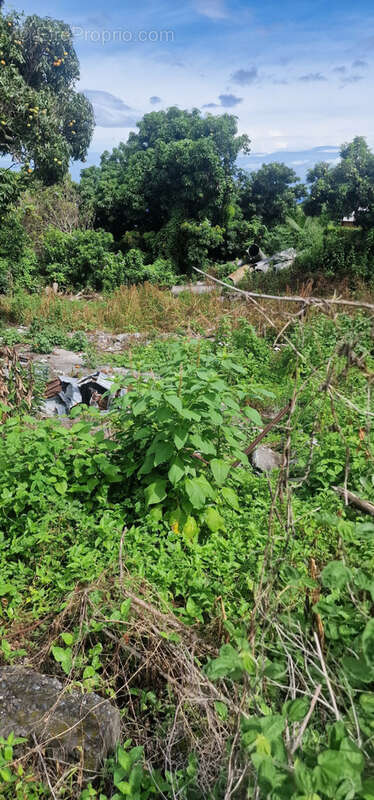 Terrain à LA POSSESSION