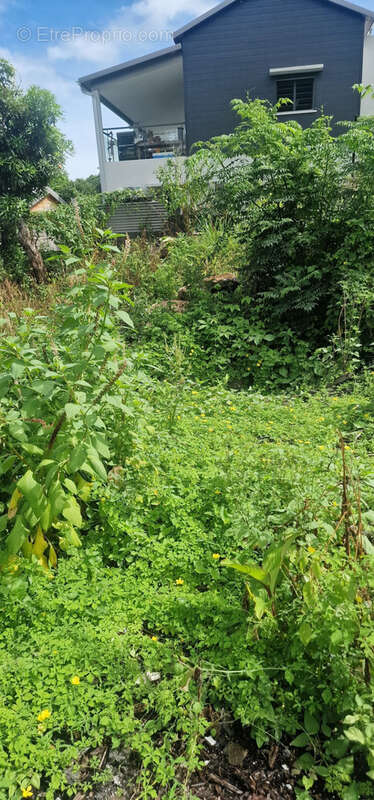 Terrain à LA POSSESSION