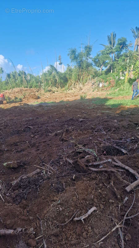 Terrain à SAINTE-MARIE