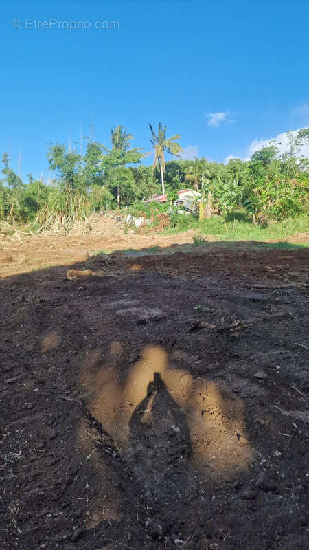 Terrain à SAINTE-MARIE