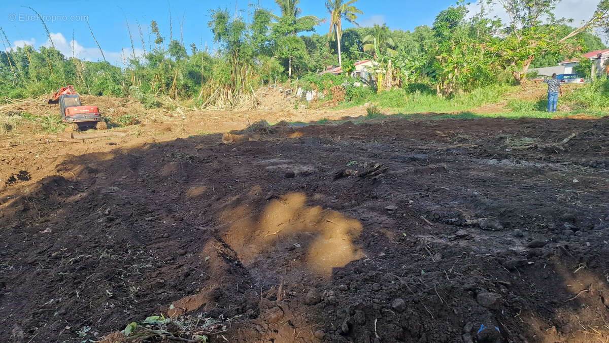 Terrain à SAINTE-MARIE
