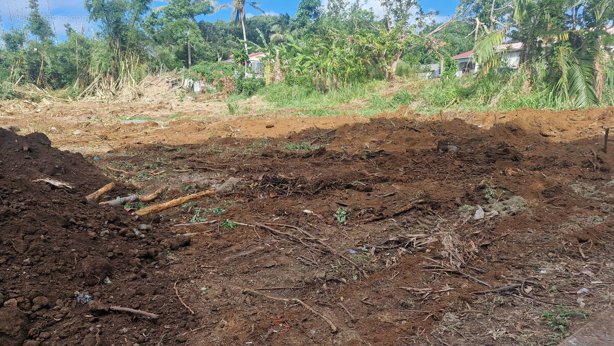 Terrain à SAINTE-MARIE