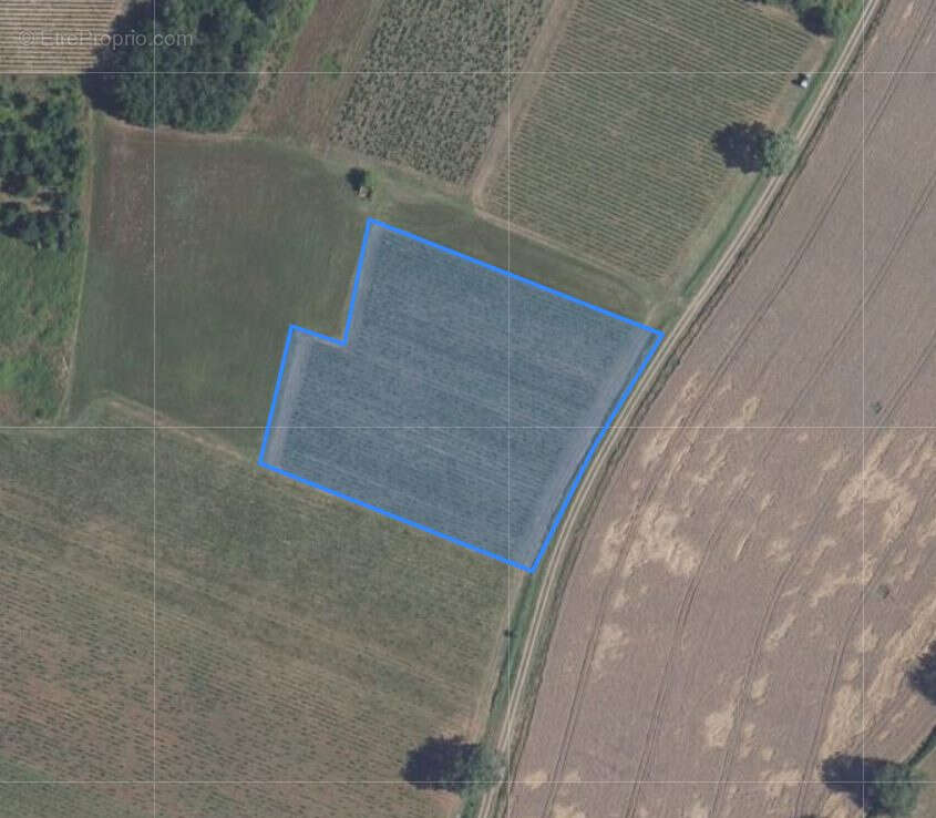 Terrain à CHATEAUMEILLANT