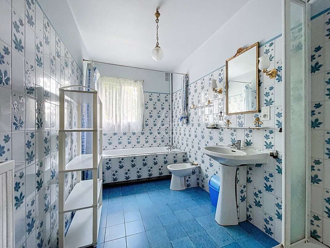 Maison à SAINT-BENOIT-SUR-LOIRE