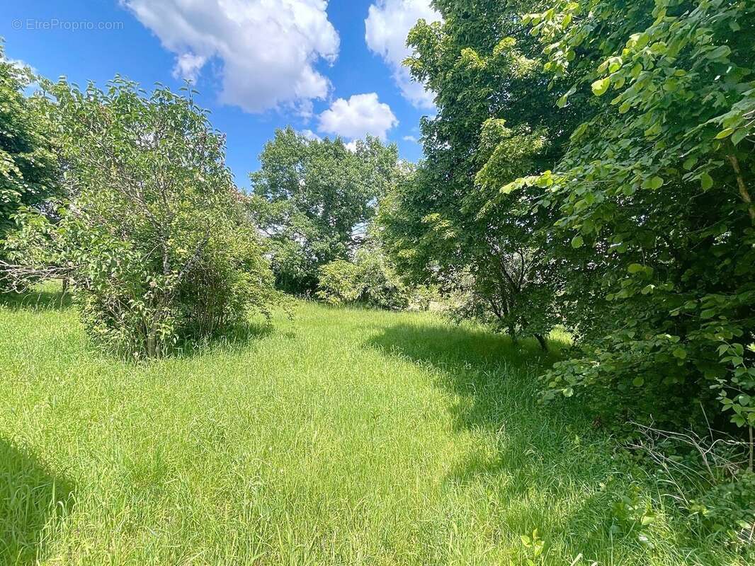 Maison à SAINT-BENOIT-SUR-LOIRE