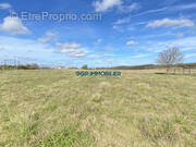 Terrain à CASTELNAU-D&#039;ESTRETEFONDS