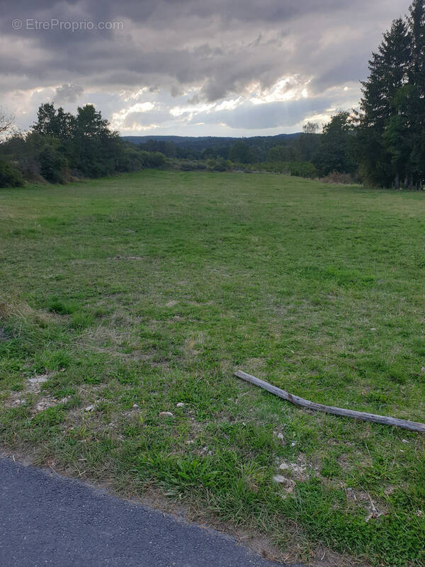 Terrain à BLAVIGNAC