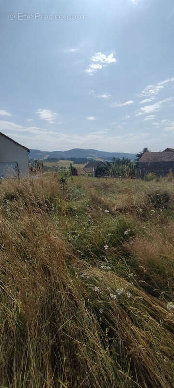 Terrain à LE MALZIEU-VILLE