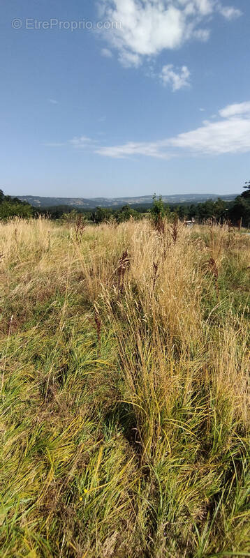 Terrain à LE MALZIEU-VILLE