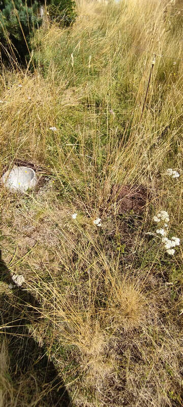 Terrain à LE MALZIEU-VILLE