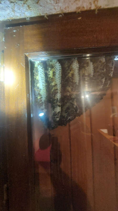 Maison à SAINT-AGREVE