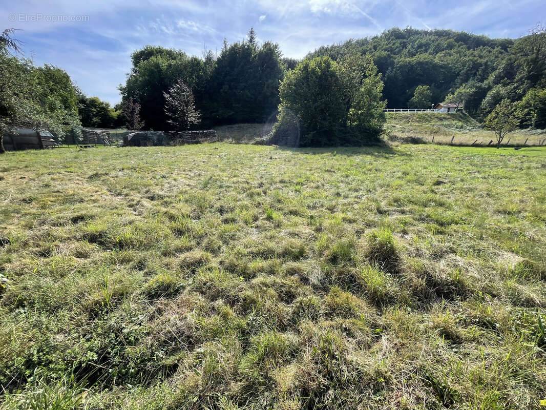 Terrain à PLANCHER-BAS