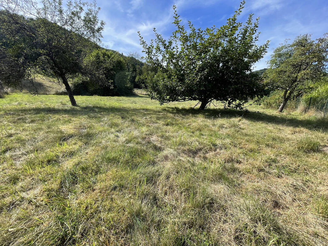 Terrain à PLANCHER-BAS