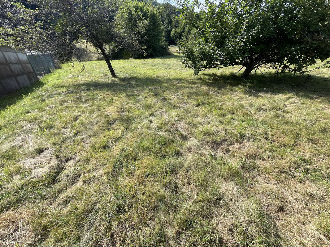 Terrain à PLANCHER-BAS