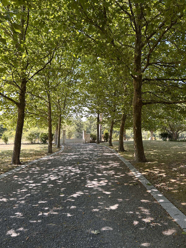 Maison à CHEMILLE-SUR-INDROIS