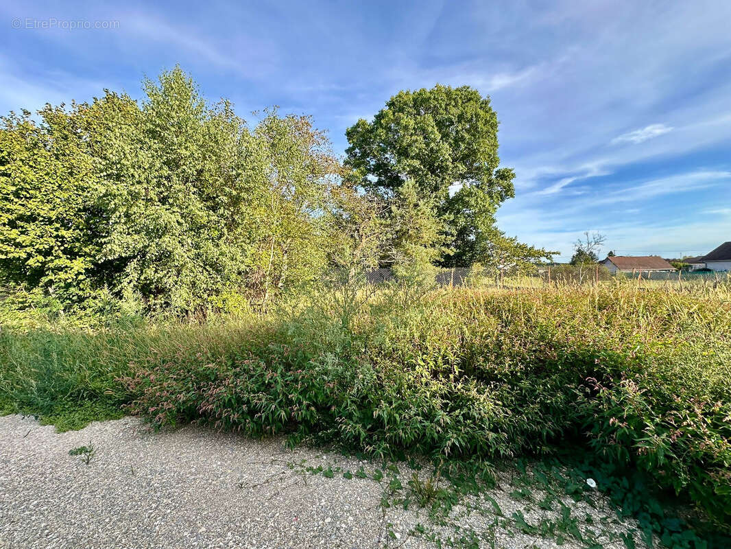 Maison à LUXEUIL-LES-BAINS