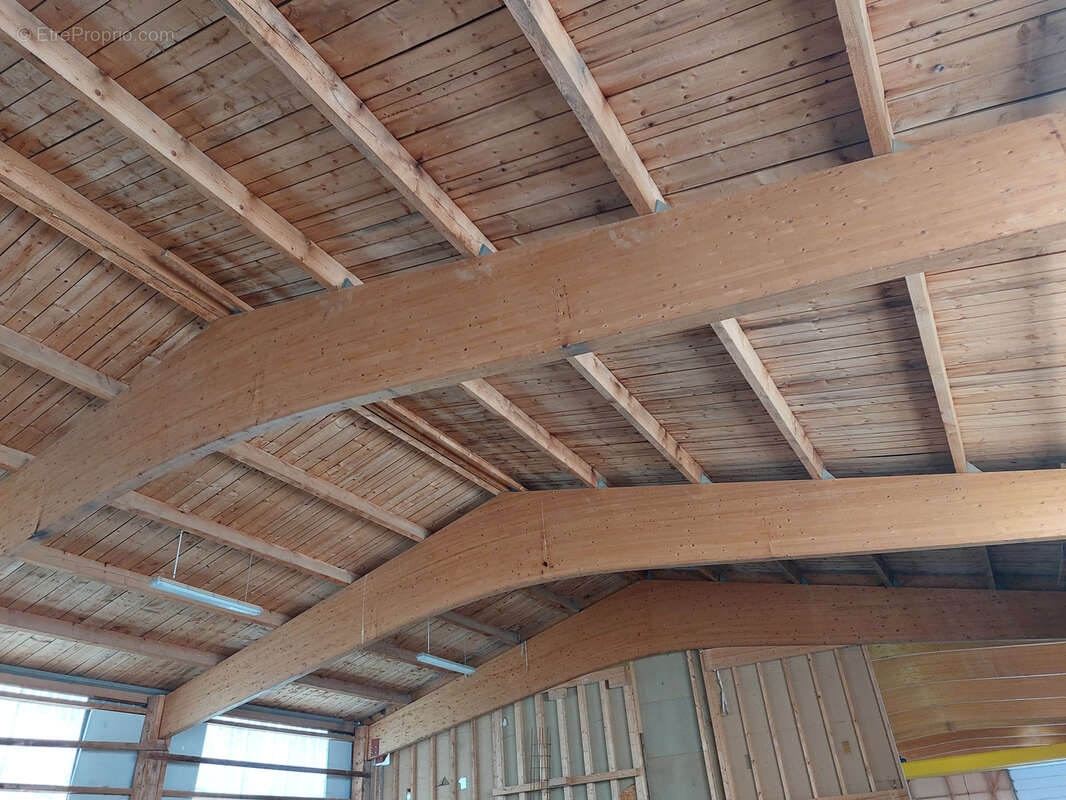 Commerce à VUILLECIN