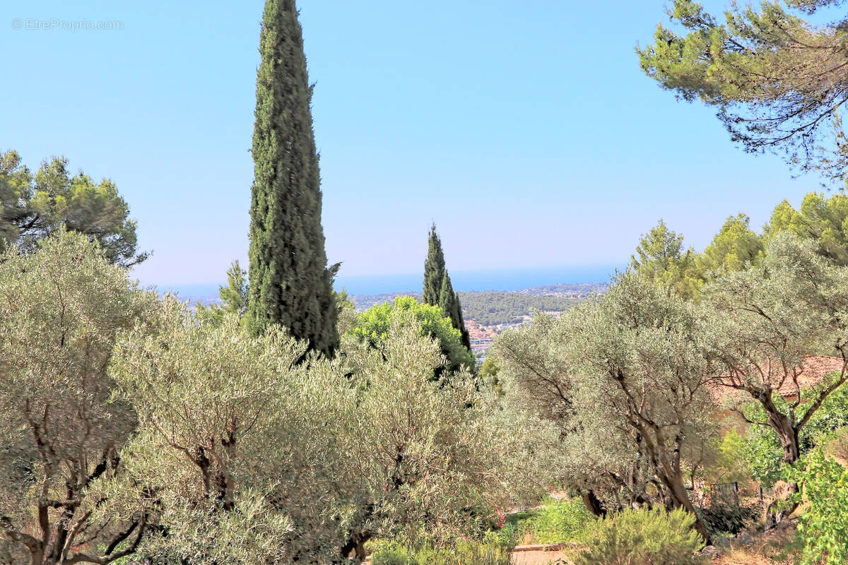 Maison à LA VALETTE-DU-VAR