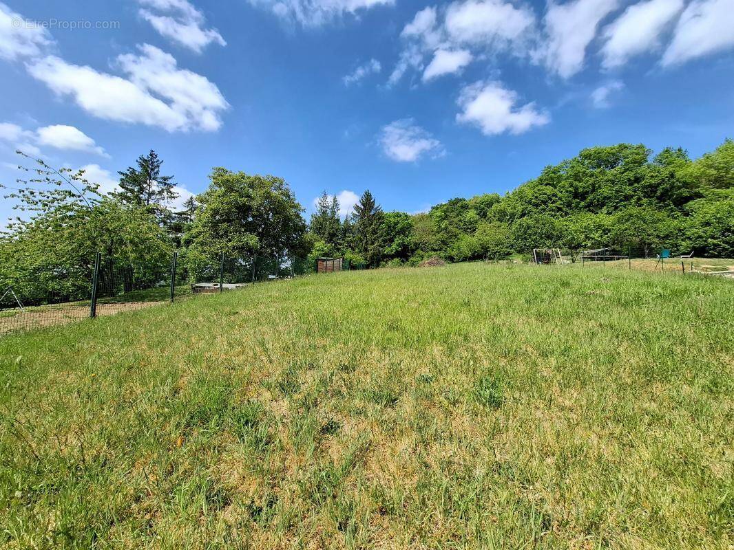 Terrain à CUISE-LA-MOTTE