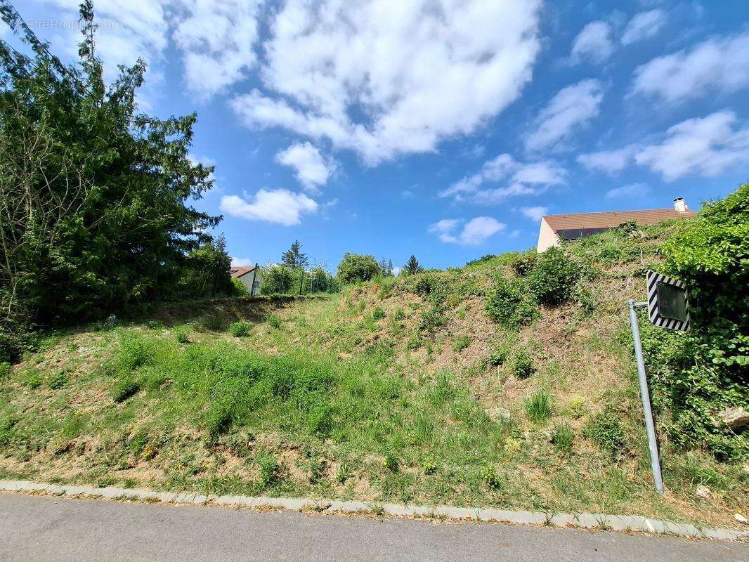 Terrain à MONTIGNY-LENGRAIN