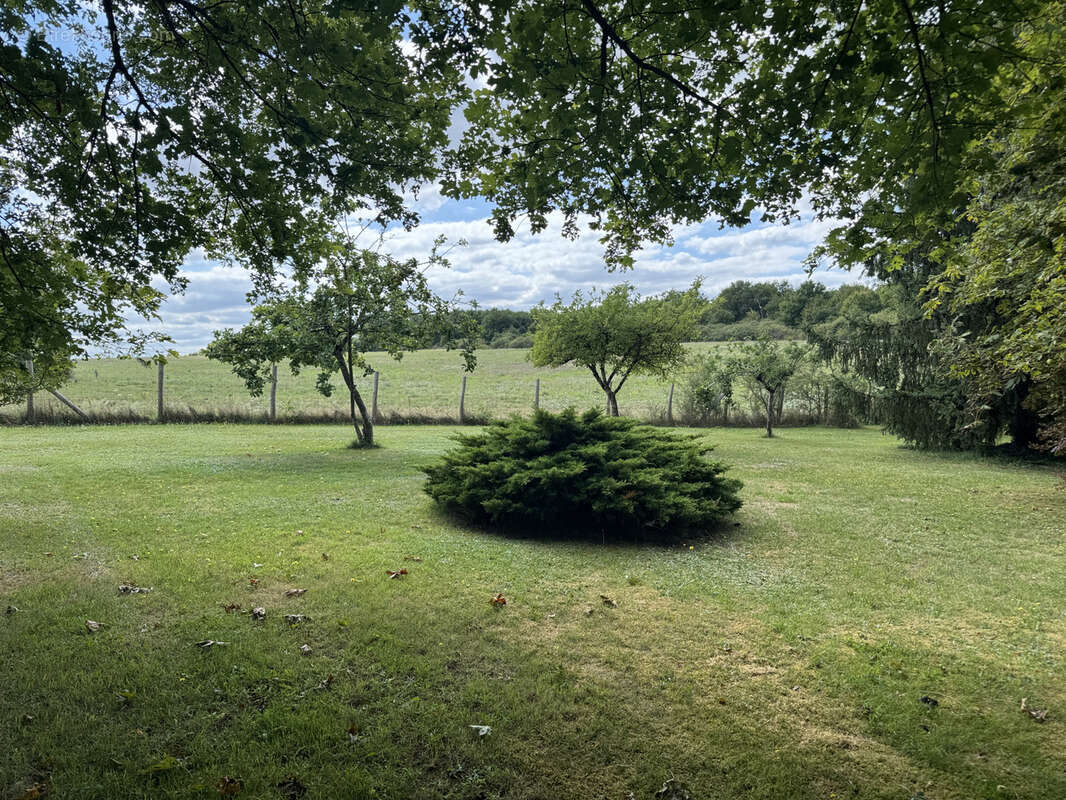 Maison à CHATEAU-RENARD