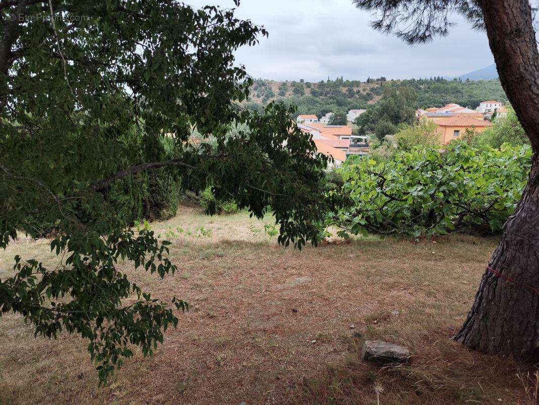 Terrain à MONTESQUIEU-DES-ALBERES