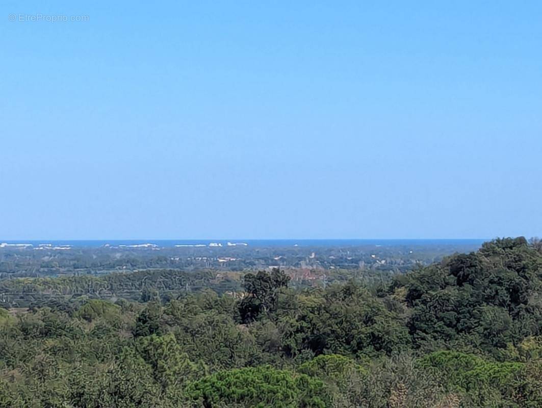 Terrain à MONTESQUIEU-DES-ALBERES