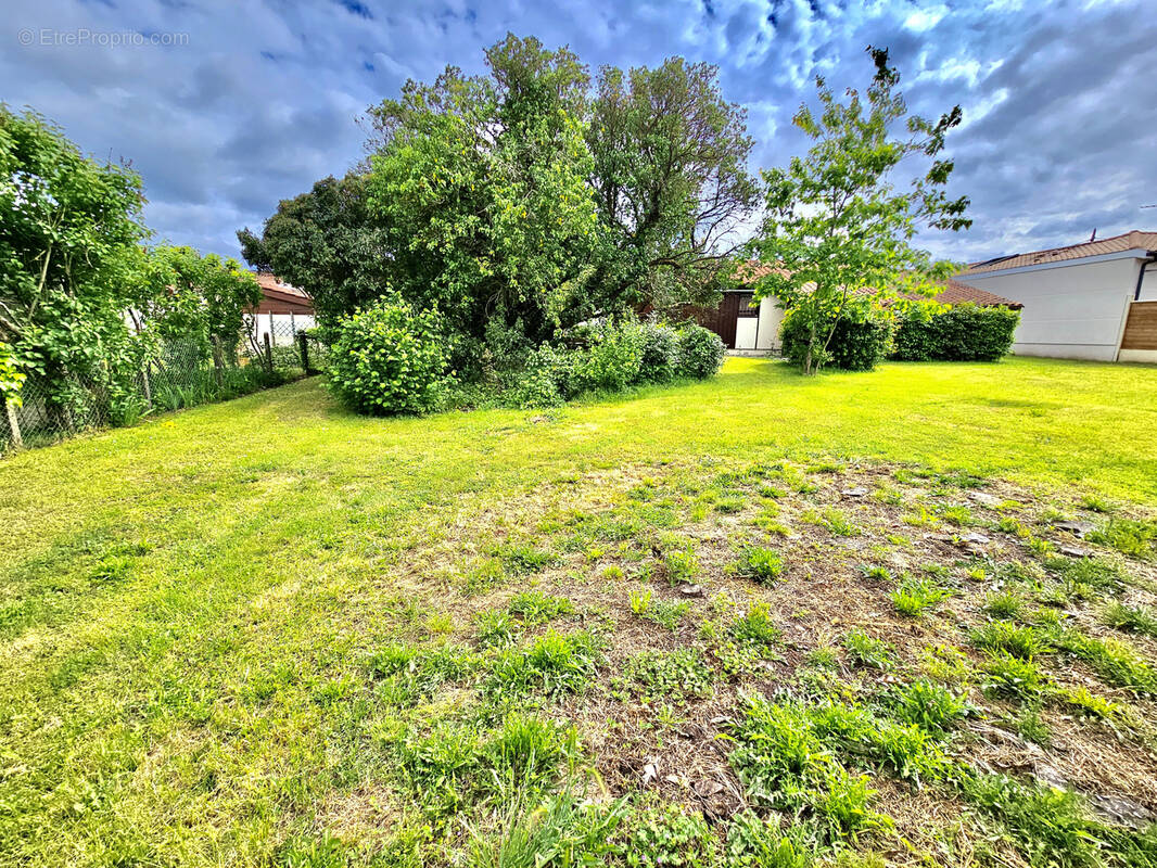 Terrain à LUDON-MEDOC