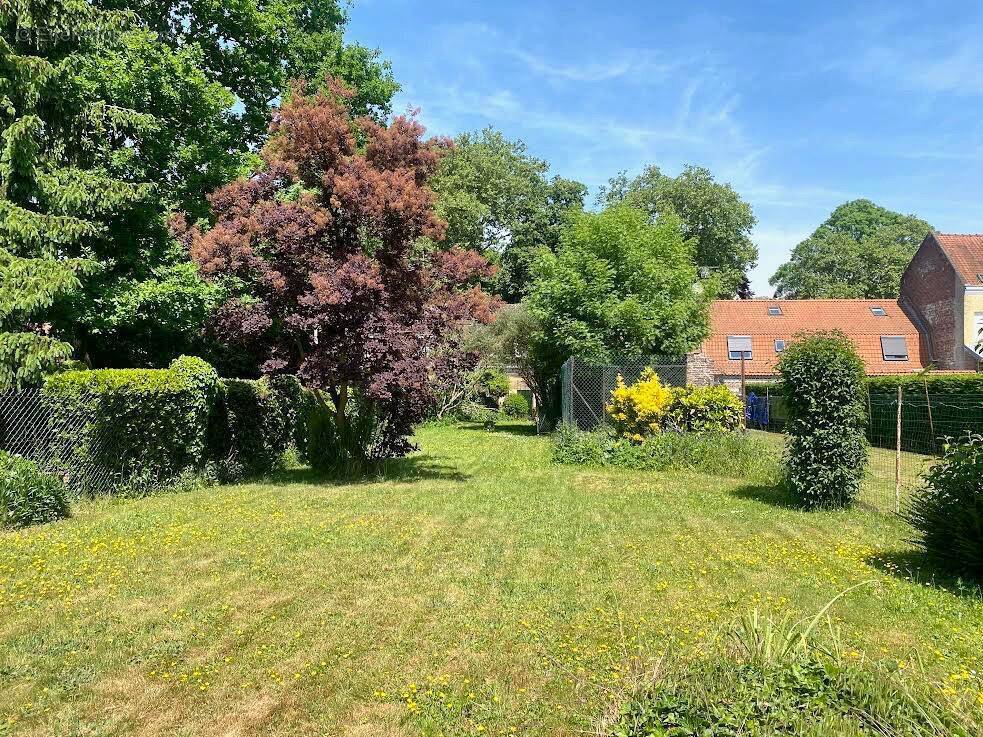 Maison à VILLENEUVE-D&#039;ASCQ