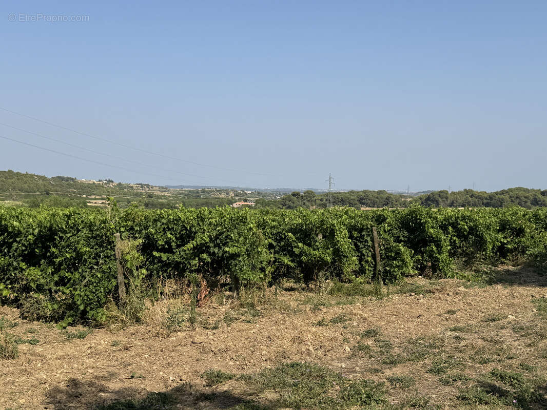 Maison à SAINT-CHINIAN