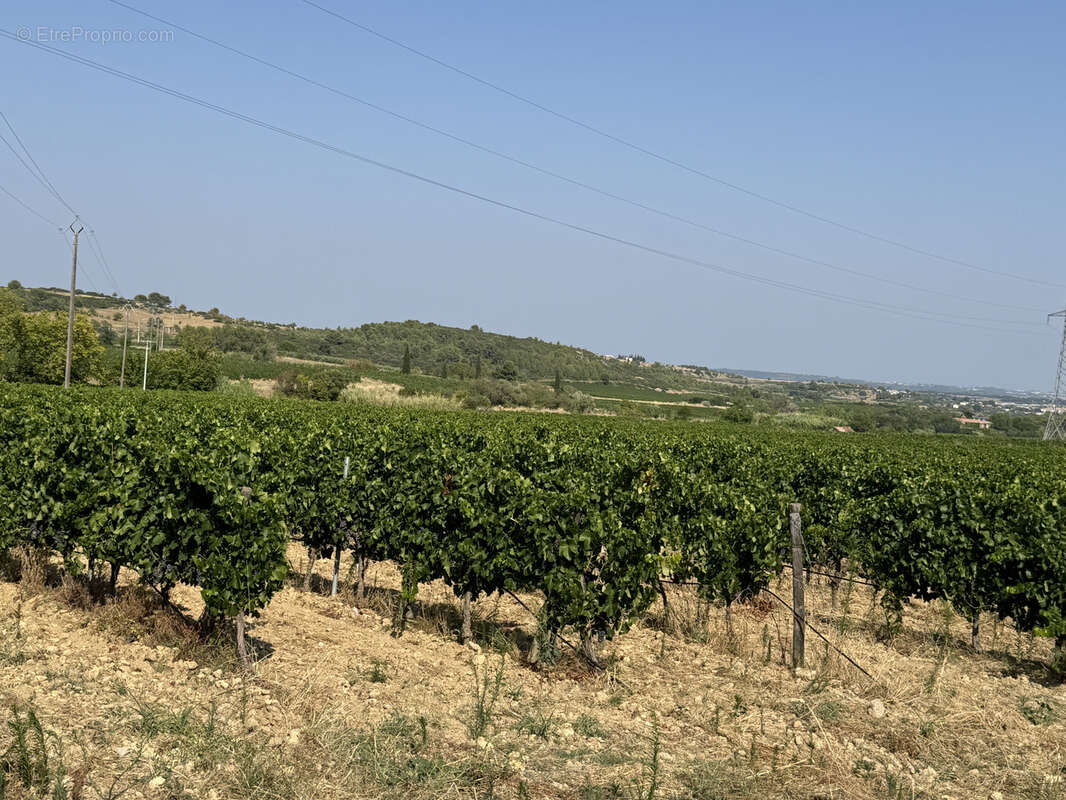 Maison à SAINT-CHINIAN