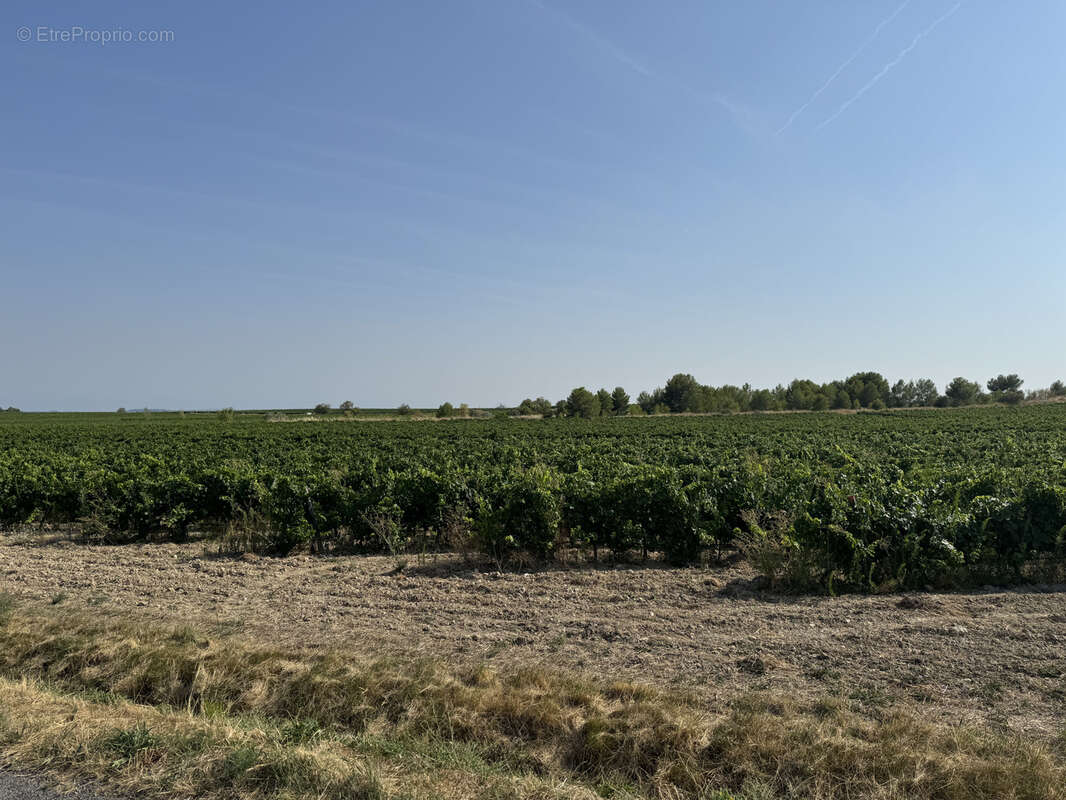 Maison à SAINT-CHINIAN