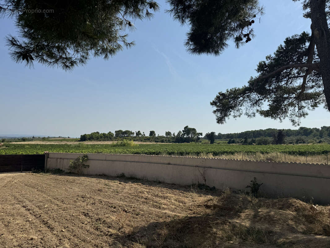 Maison à SAINT-CHINIAN