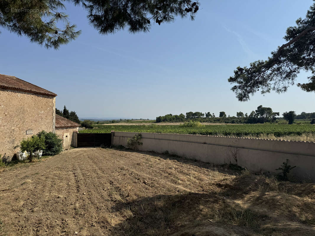 Maison à SAINT-CHINIAN