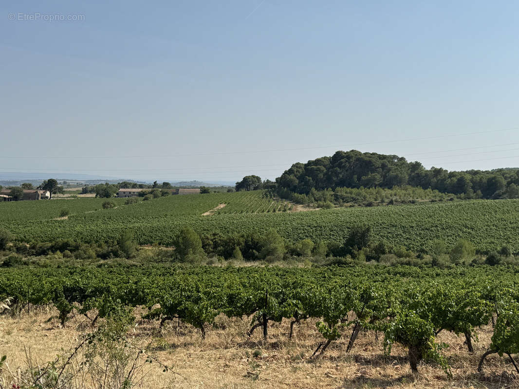 Maison à SAINT-CHINIAN