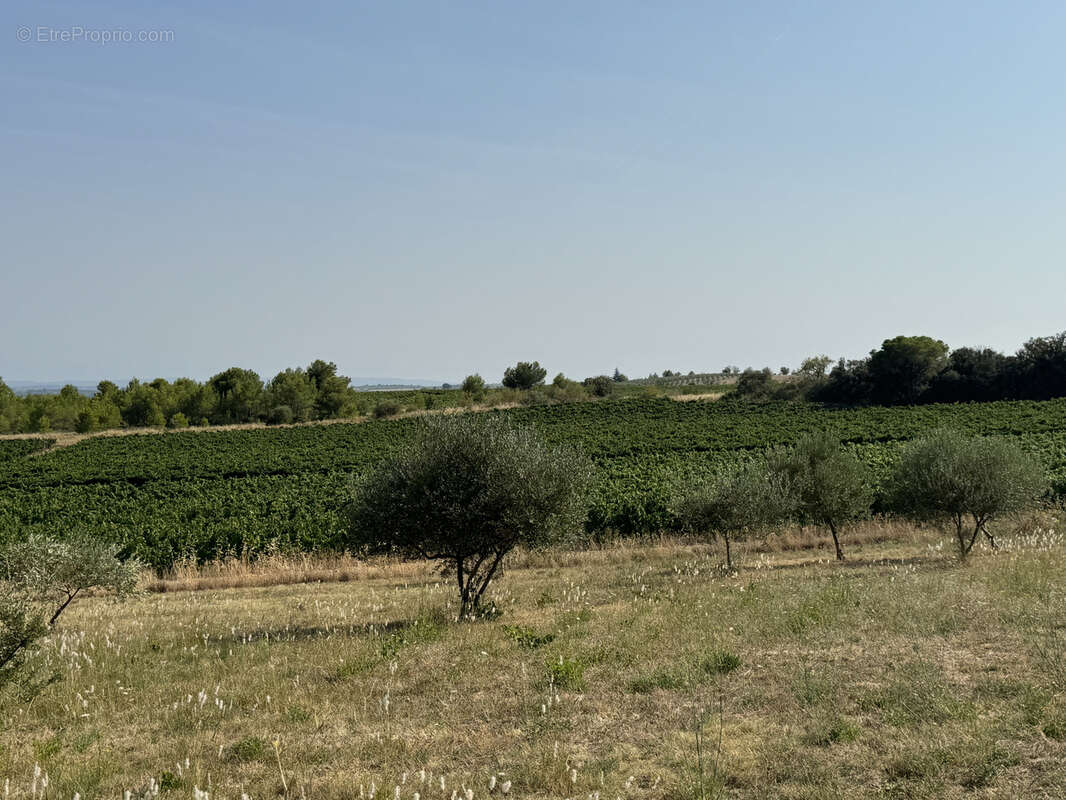 Maison à SAINT-CHINIAN