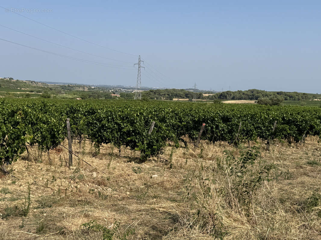 Maison à SAINT-CHINIAN