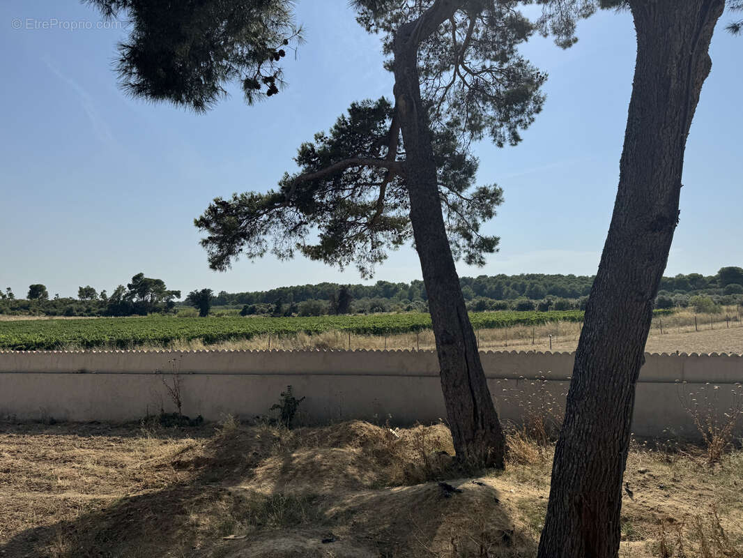 Maison à SAINT-CHINIAN