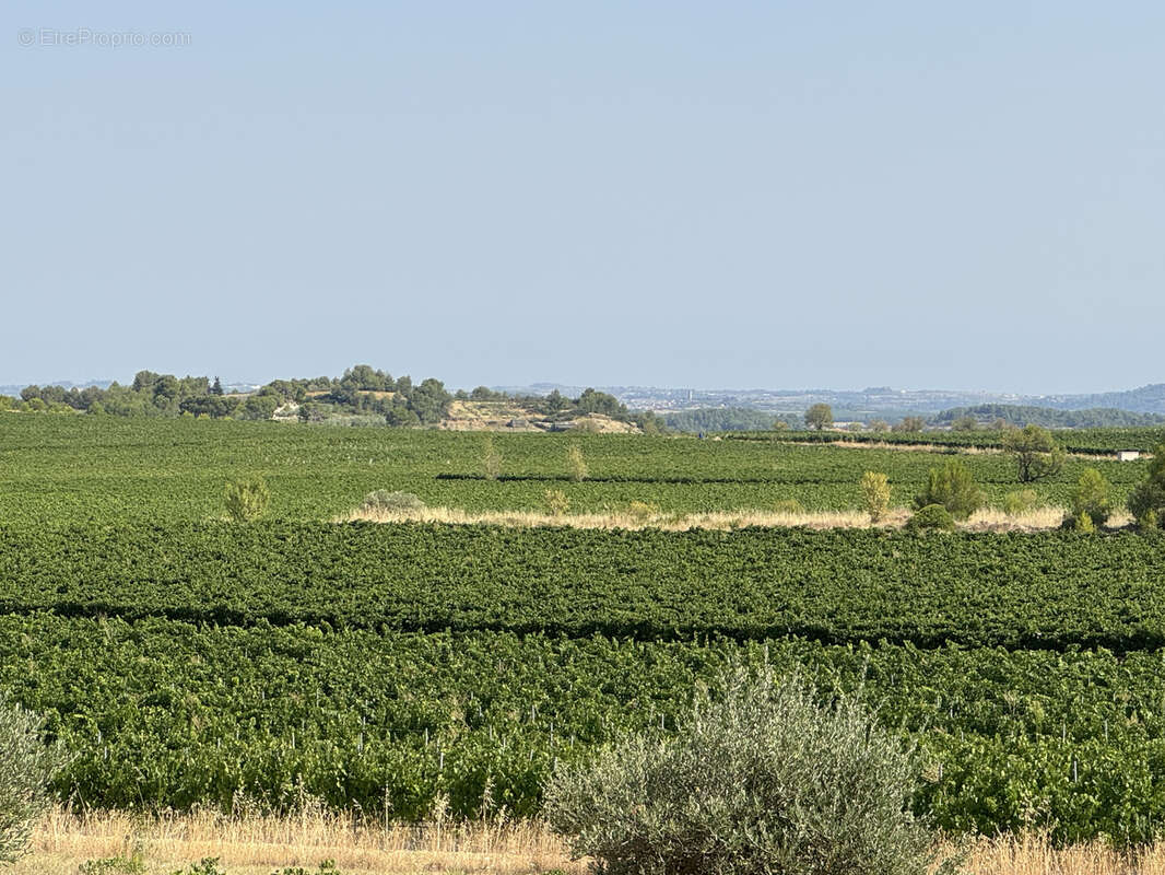Maison à SAINT-CHINIAN