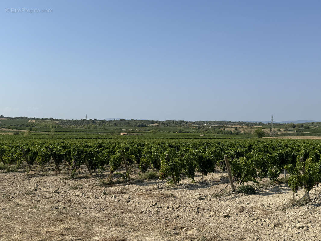 Maison à SAINT-CHINIAN