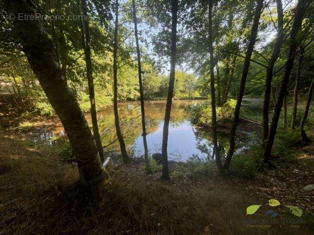 Maison à SAUVIAT-SUR-VIGE