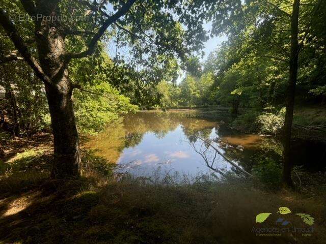Maison à SAUVIAT-SUR-VIGE