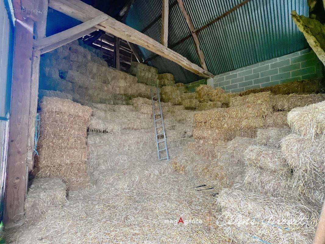 Maison à ISIGNY-LE-BUAT