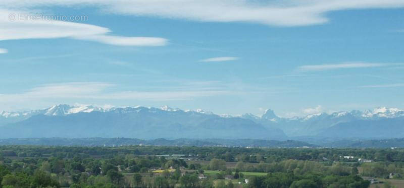 Terrain à MONTARDON