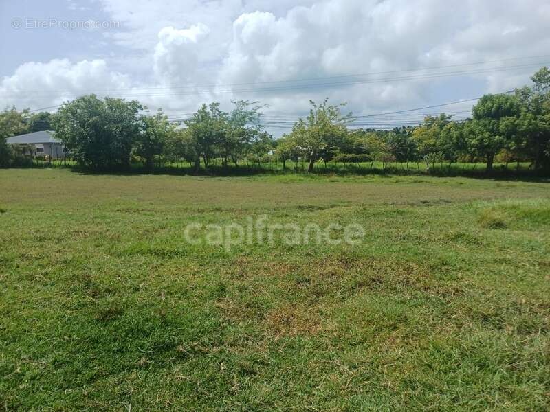 Terrain à PETIT-CANAL